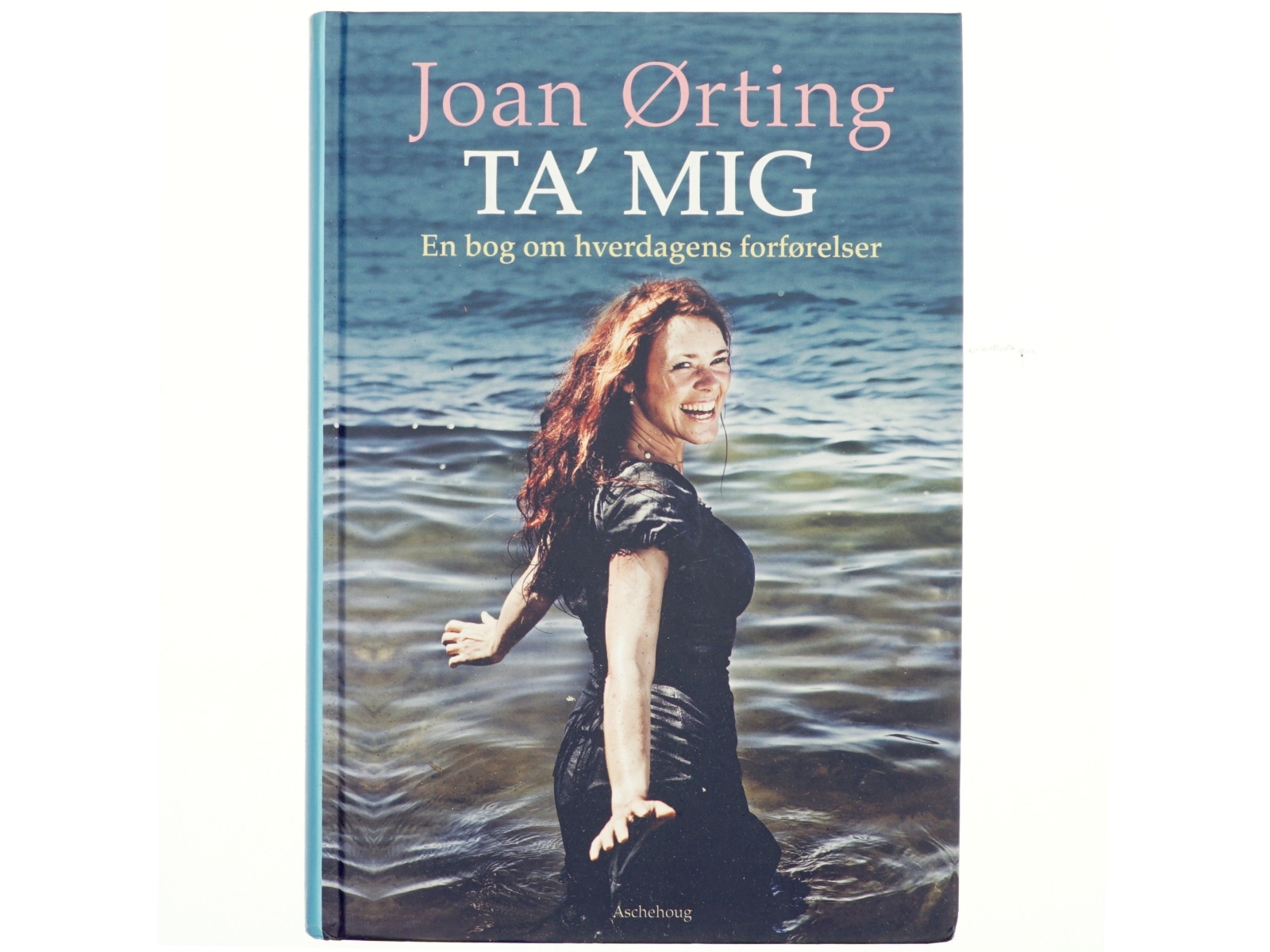Ta' mig : en bog om hverdagens forførelser (Bog)