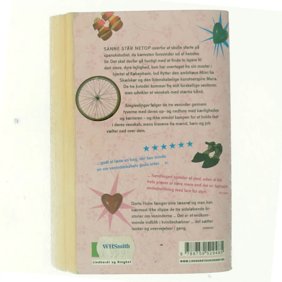 Singleslinger af Dorte Holm (Bog)