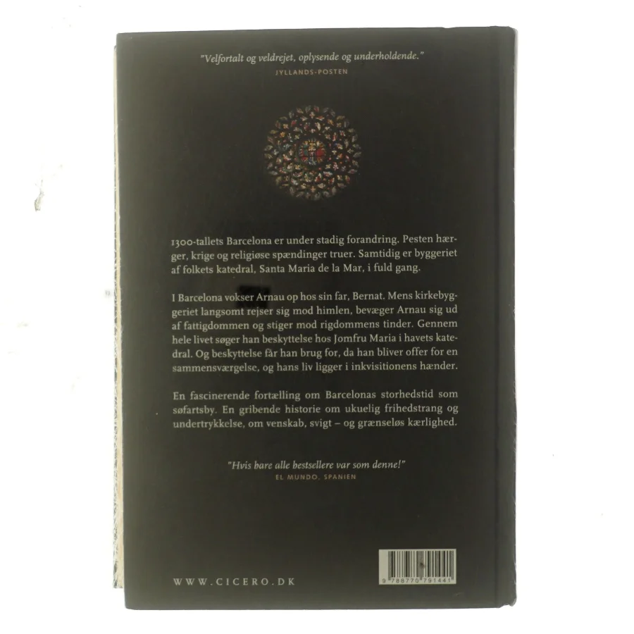 Havets katedral af Ildefonso Falcones (Bog)