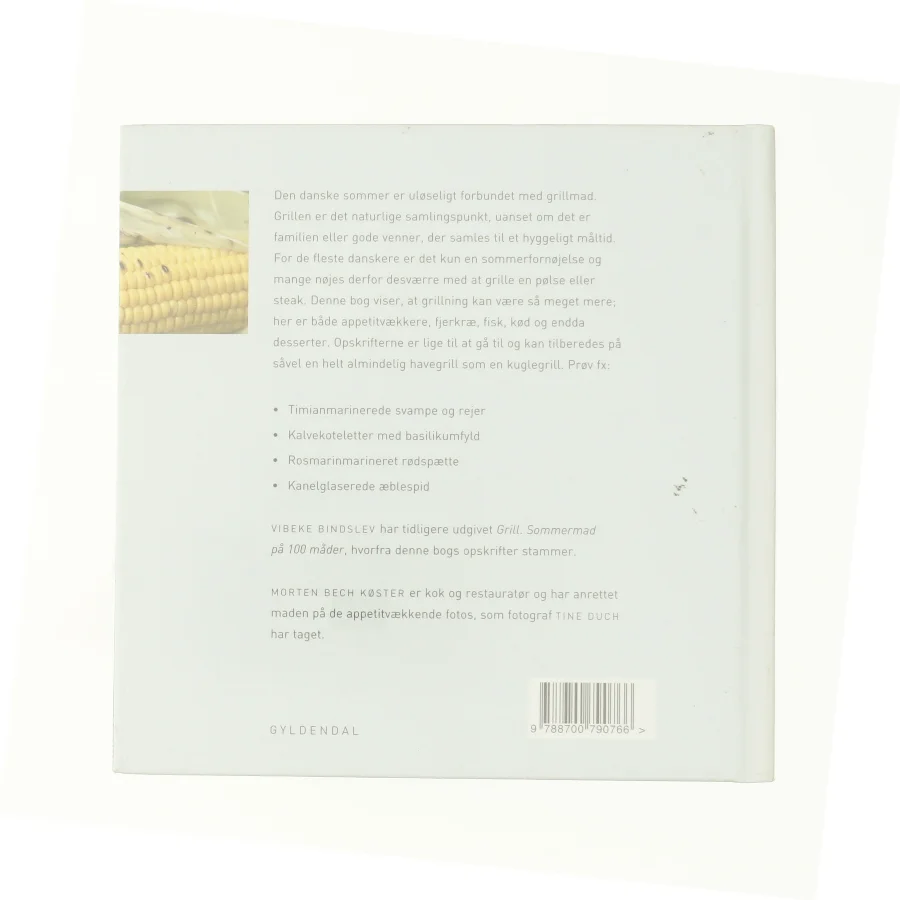 Spis godt - Grill  fra Bog