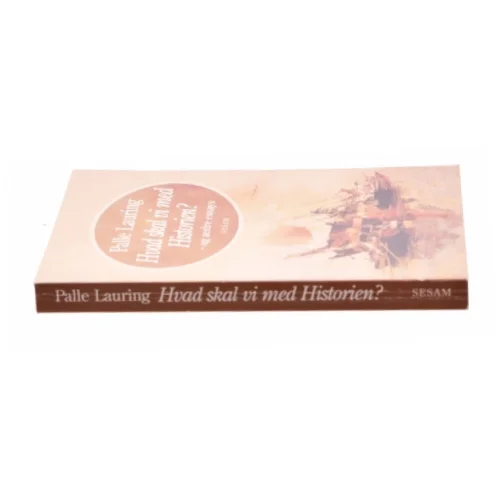 Hvad skal vi med historien? - og andre essays af Palle Lauring (Bog)