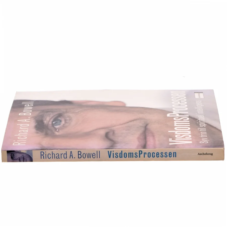 Visdomsprocessen : syv trin til spirituel intelligens af Richard A. Bowell (Bog)