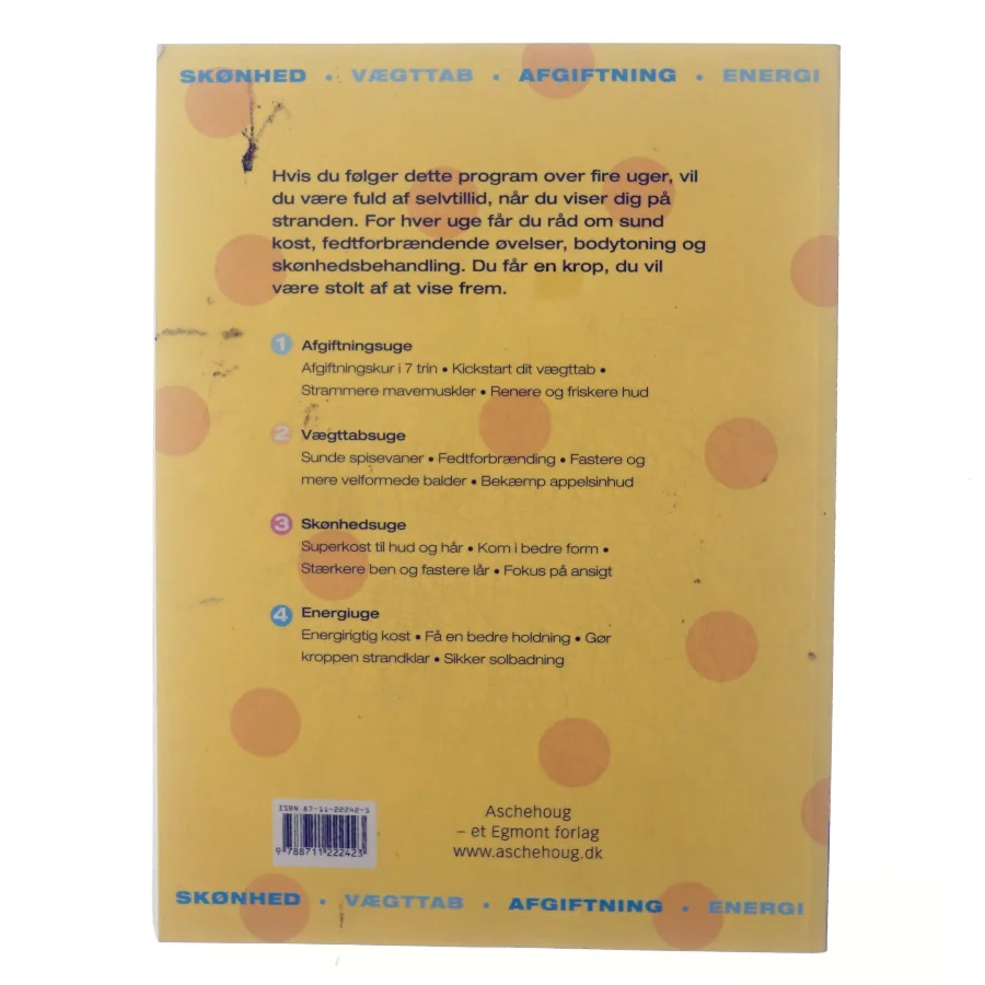 Bikiniklar på fire uger af Jo Lethaby (Bog)