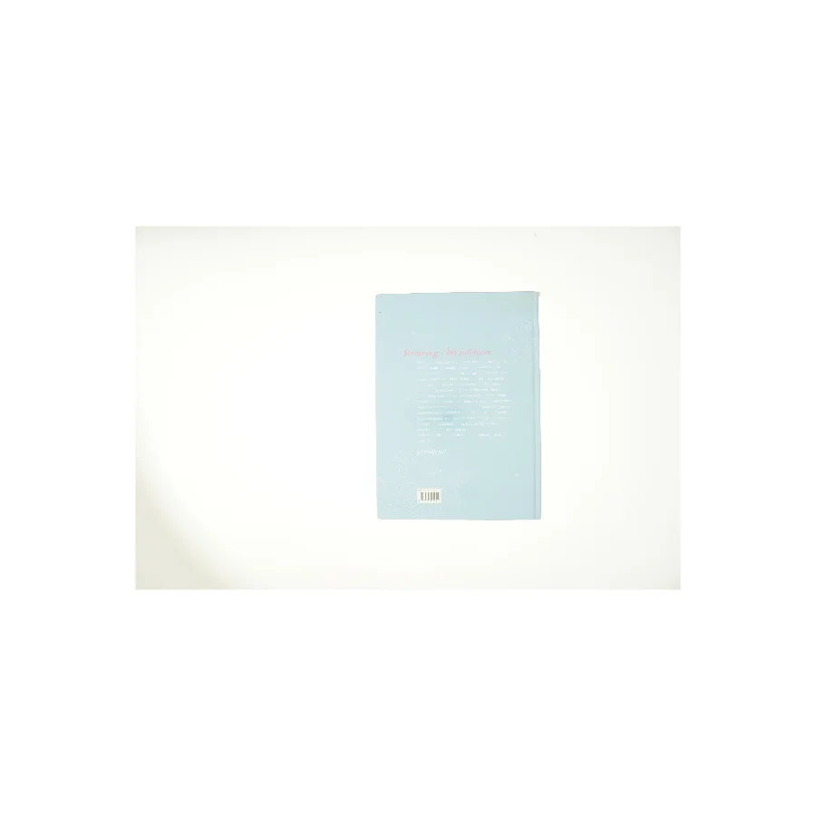 Den store julebog (Bog)