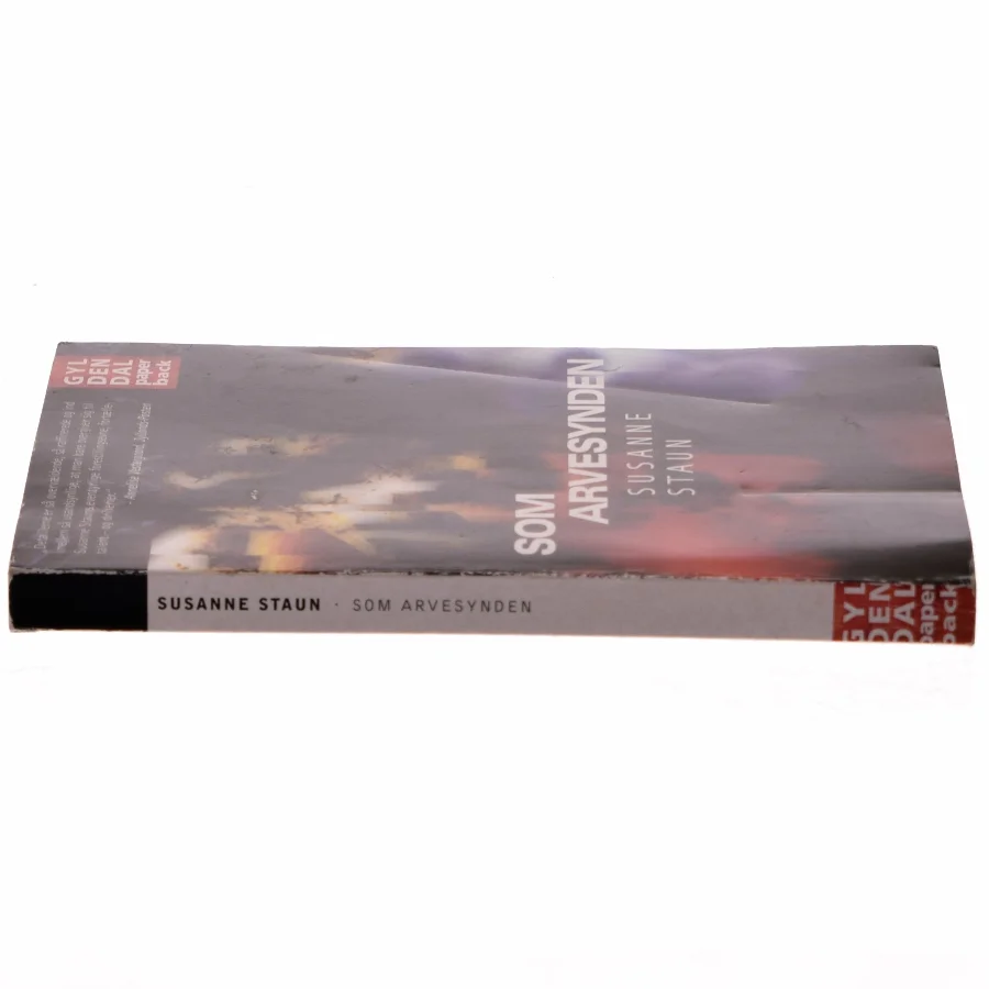 Som arvesynden : roman af Susanne Staun (Bog)