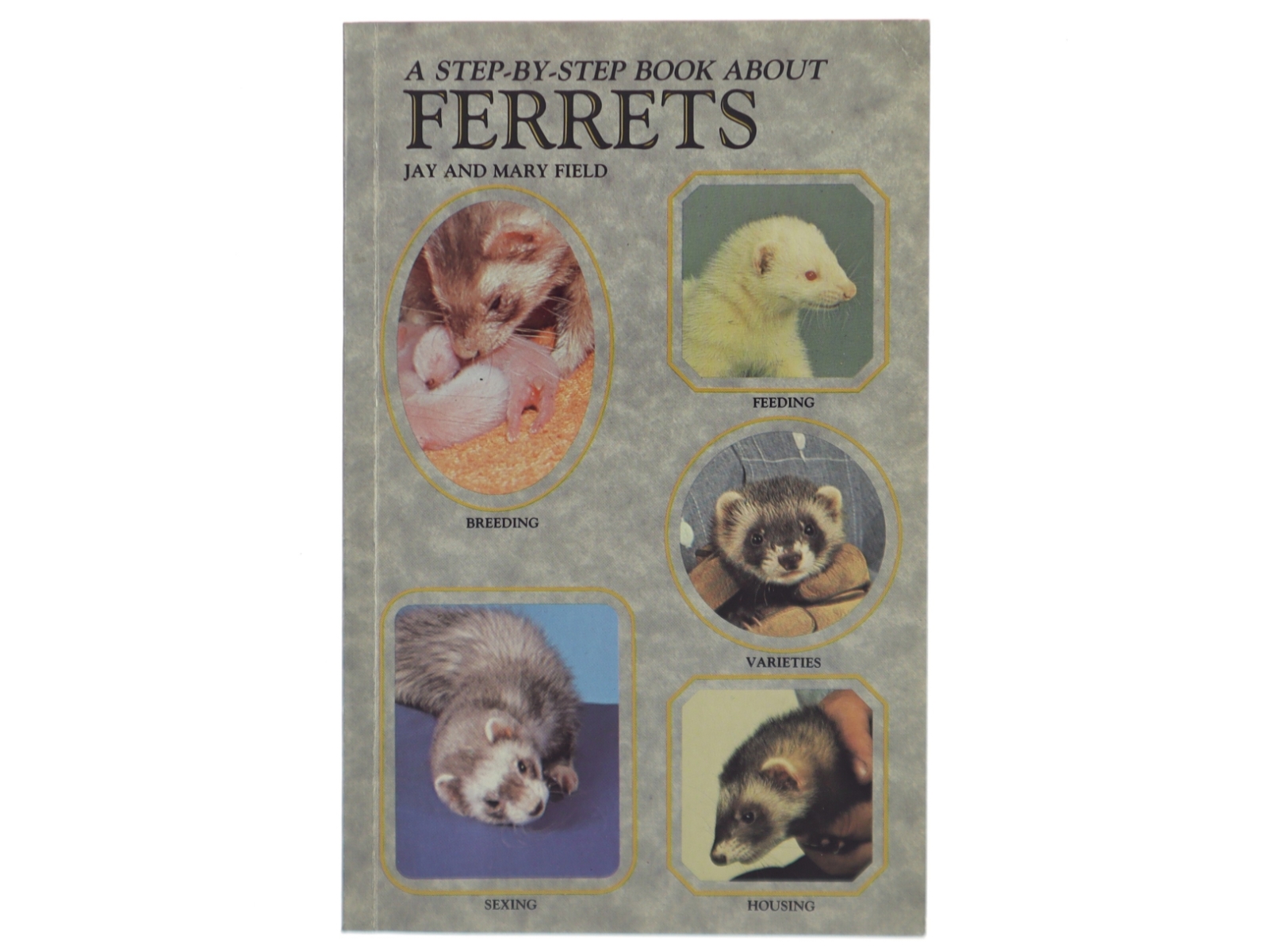A step-by-step book about ferrets (Bog)
