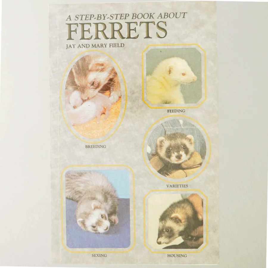 A step-by-step book about ferrets (Bog)
