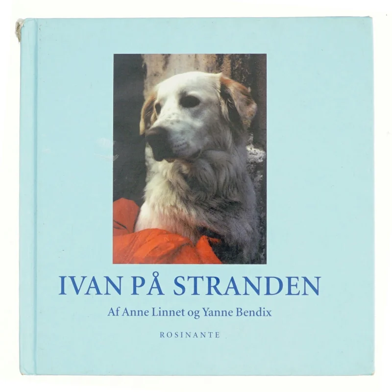 Ivan på stranden af Anne Linnet, Yanne Bendix (Bog)