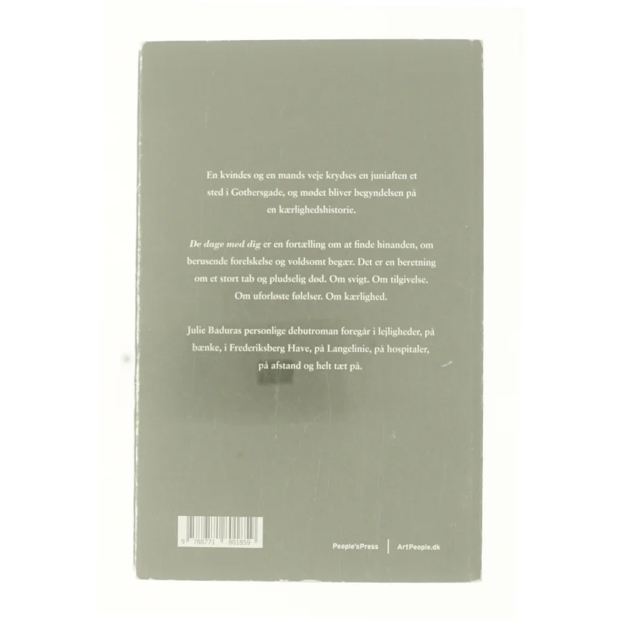 De dage med dig af Julie Badura (Bog)