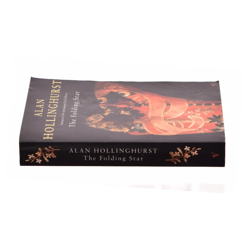 The Folding Star af Alan Hollinghurst (Bog)