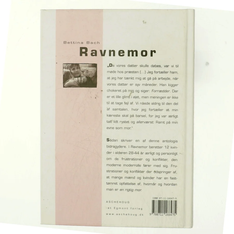Ravnemor : 12 beretninger om moderskab og arbejdsliv af Bettina Bach (Bog)