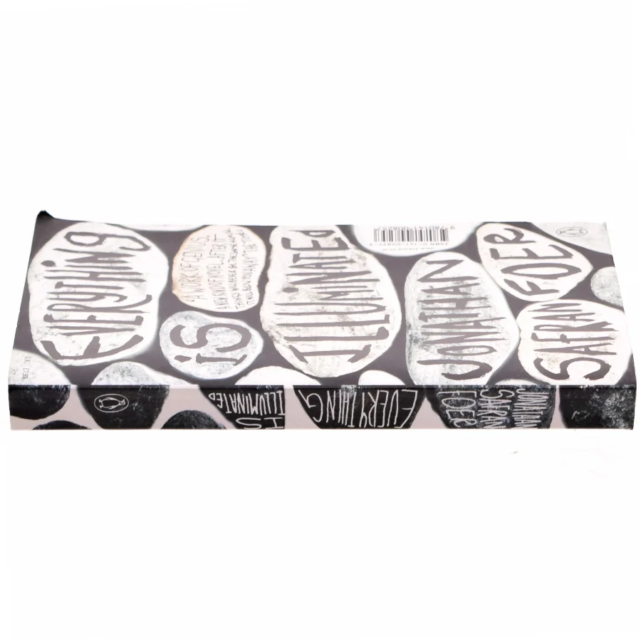 Everything is illuminated : a novel af Jonathan Safran Foer (Bog)