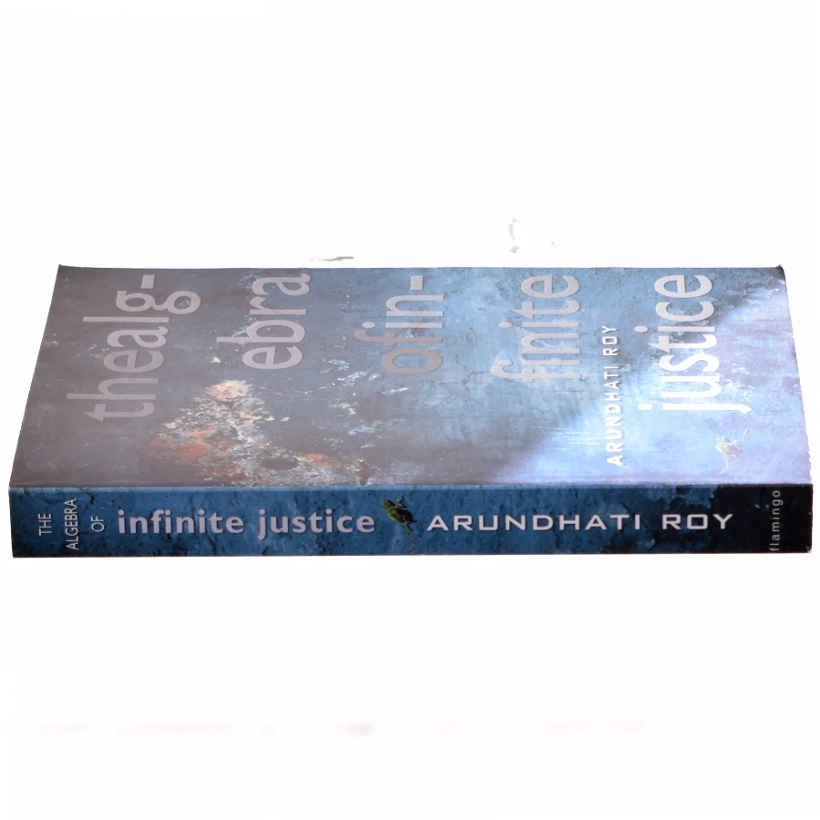 The algebra of infinite justice af Arundhati Roy (Bog)