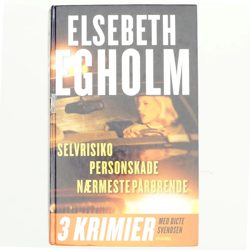 Selvrisiko : Personskade : Nærmeste pårørende af Elsebeth Egholm (Bog)