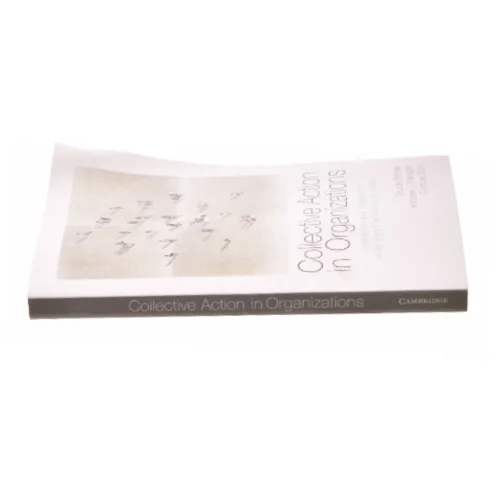 Collective Action in Organizations: Interaction and Engagement in an Era of Technological Change af Bruce Bimber (Bog)