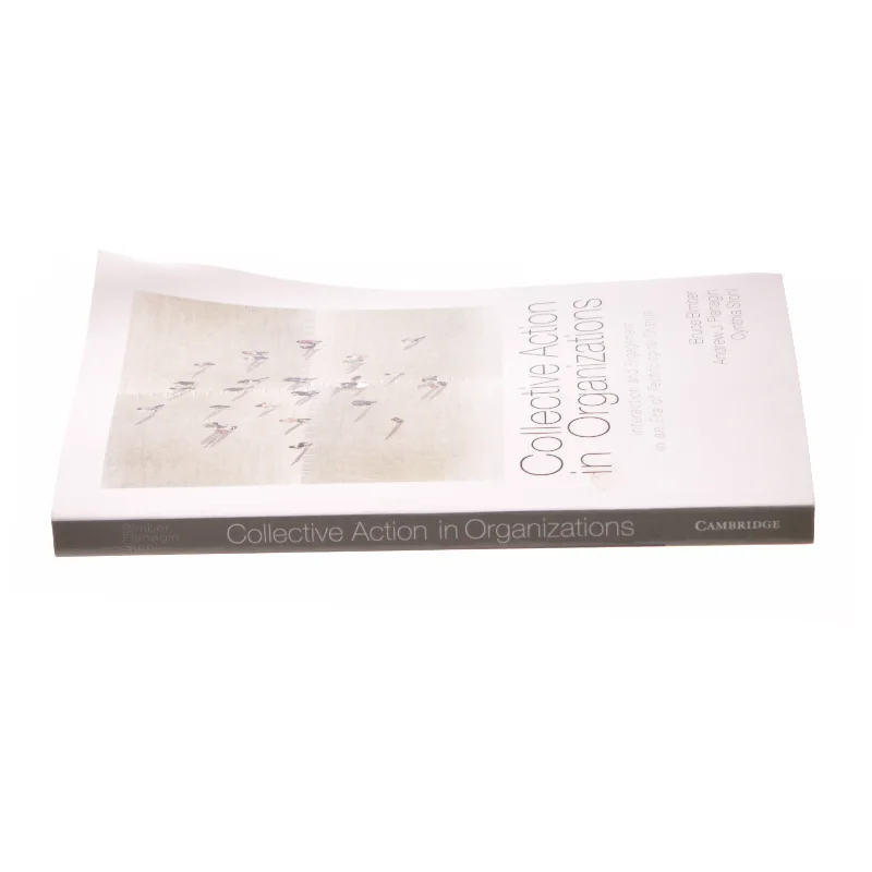 Collective Action in Organizations: Interaction and Engagement in an Era of Technological Change af Bruce Bimber (Bog)