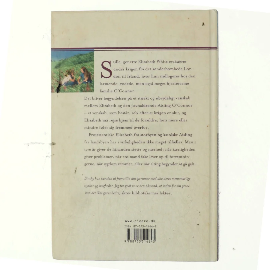 Tænd et lys af Maeve Binchy (Bog)