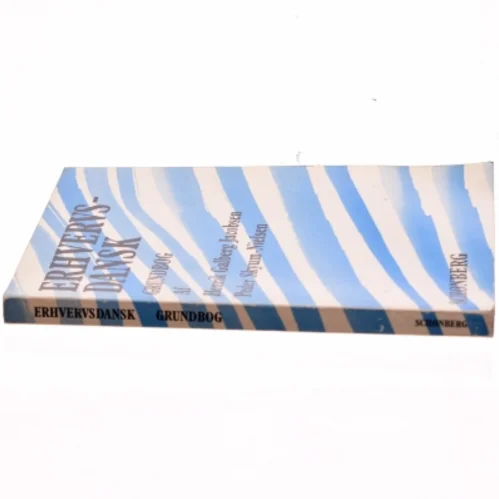 Erhvervsdansk. Bind 1, Grundbog (Bog)