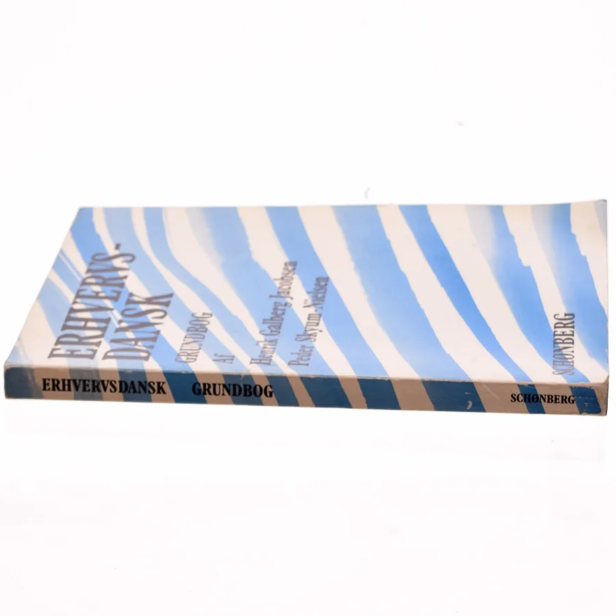 Erhvervs-dansk grundbog