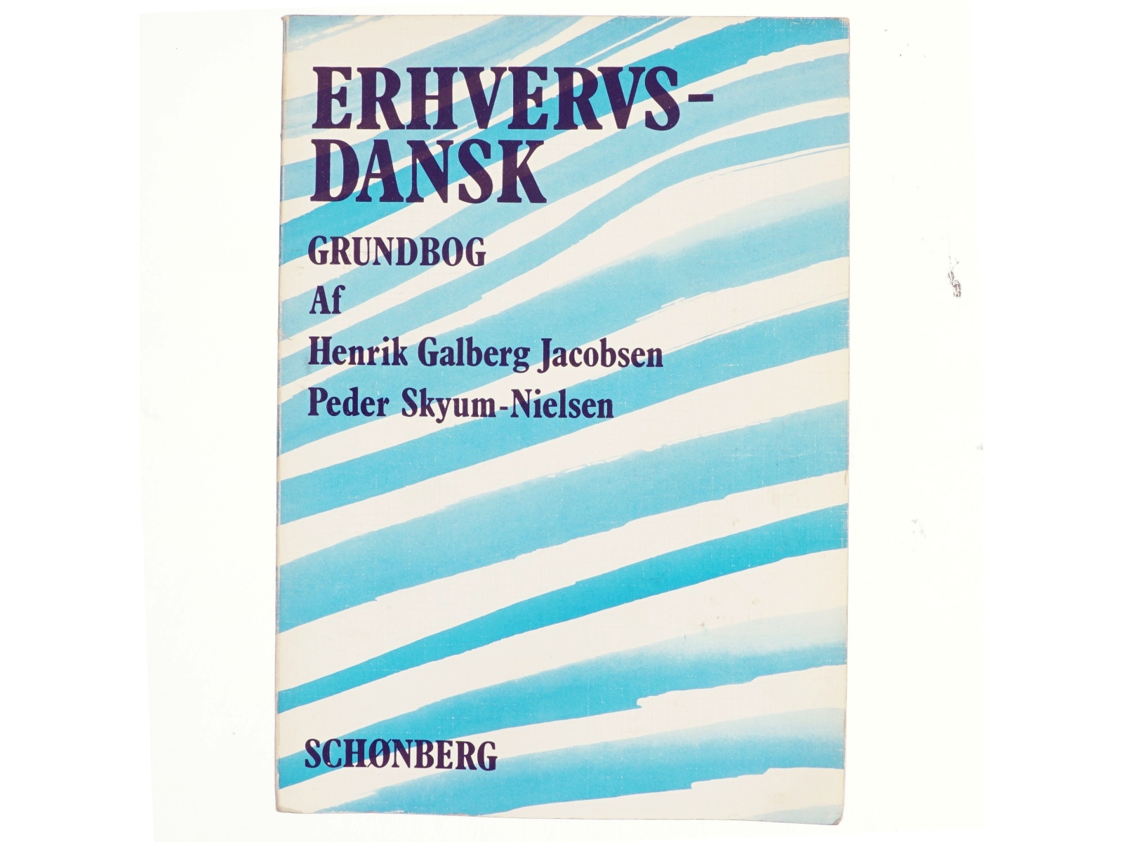 Erhvervsdansk. Bind 1, Grundbog (Bog)