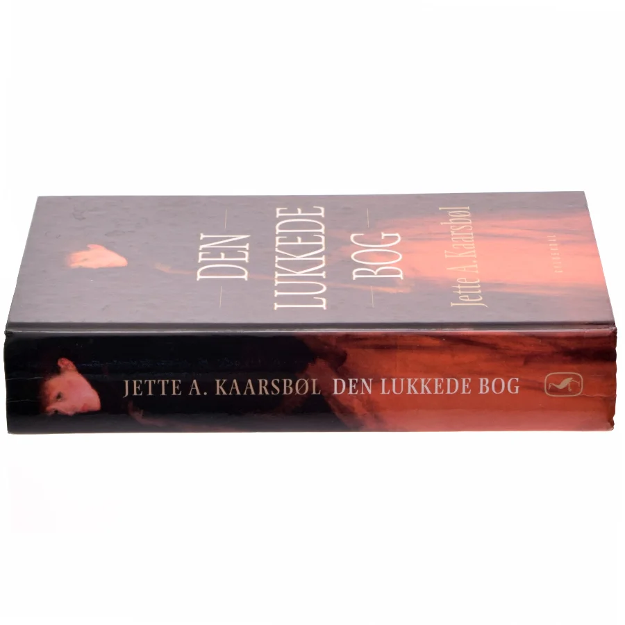 Den lukkede bog af Jette A. Kaarsbøl (Bog)