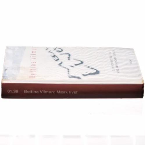 Mærk livet : elsk med nuet og bliv mere nærværende i dit liv af Bettina Vilmun (Bog)