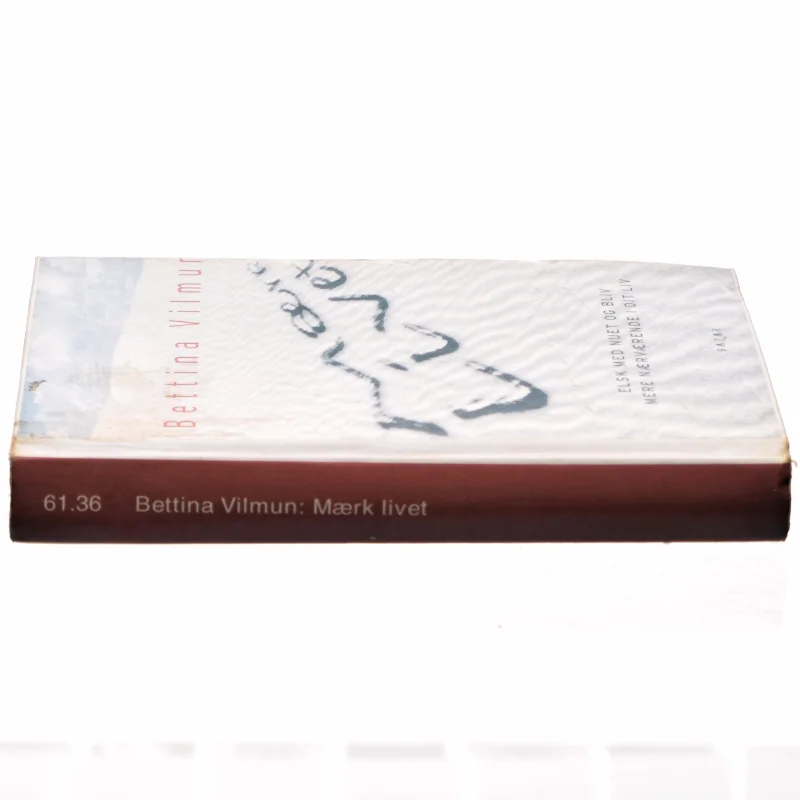 Mærk livet : elsk med nuet og bliv mere nærværende i dit liv af Bettina Vilmun (Bog)