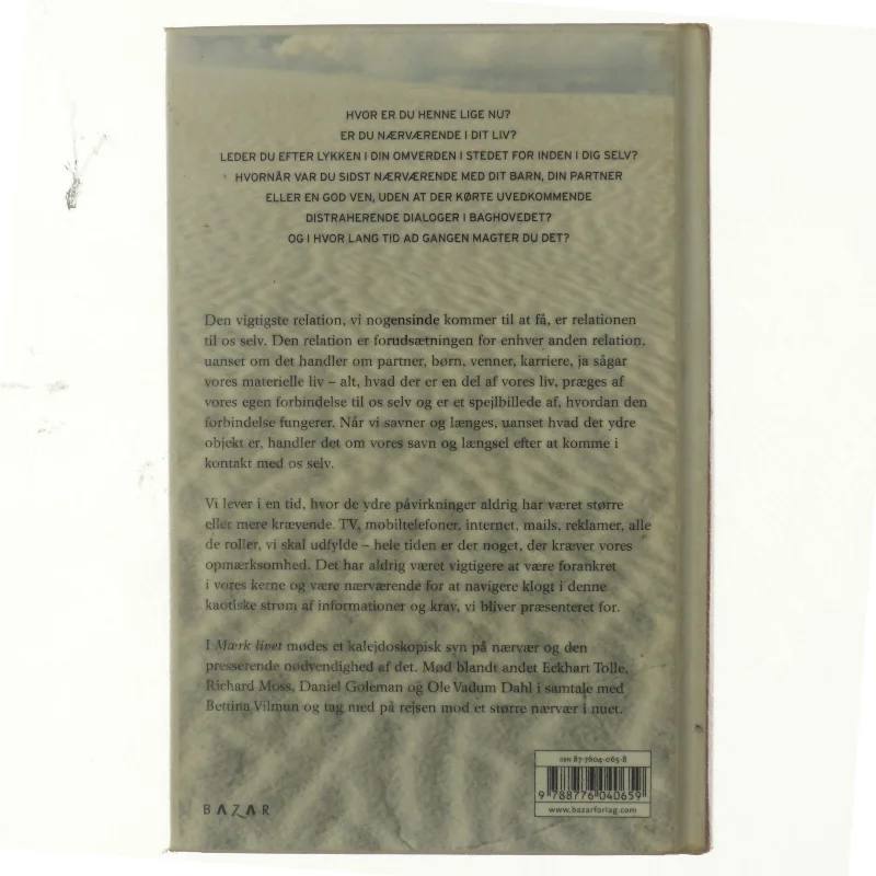 Mærk livet : elsk med nuet og bliv mere nærværende i dit liv af Bettina Vilmun (Bog)
