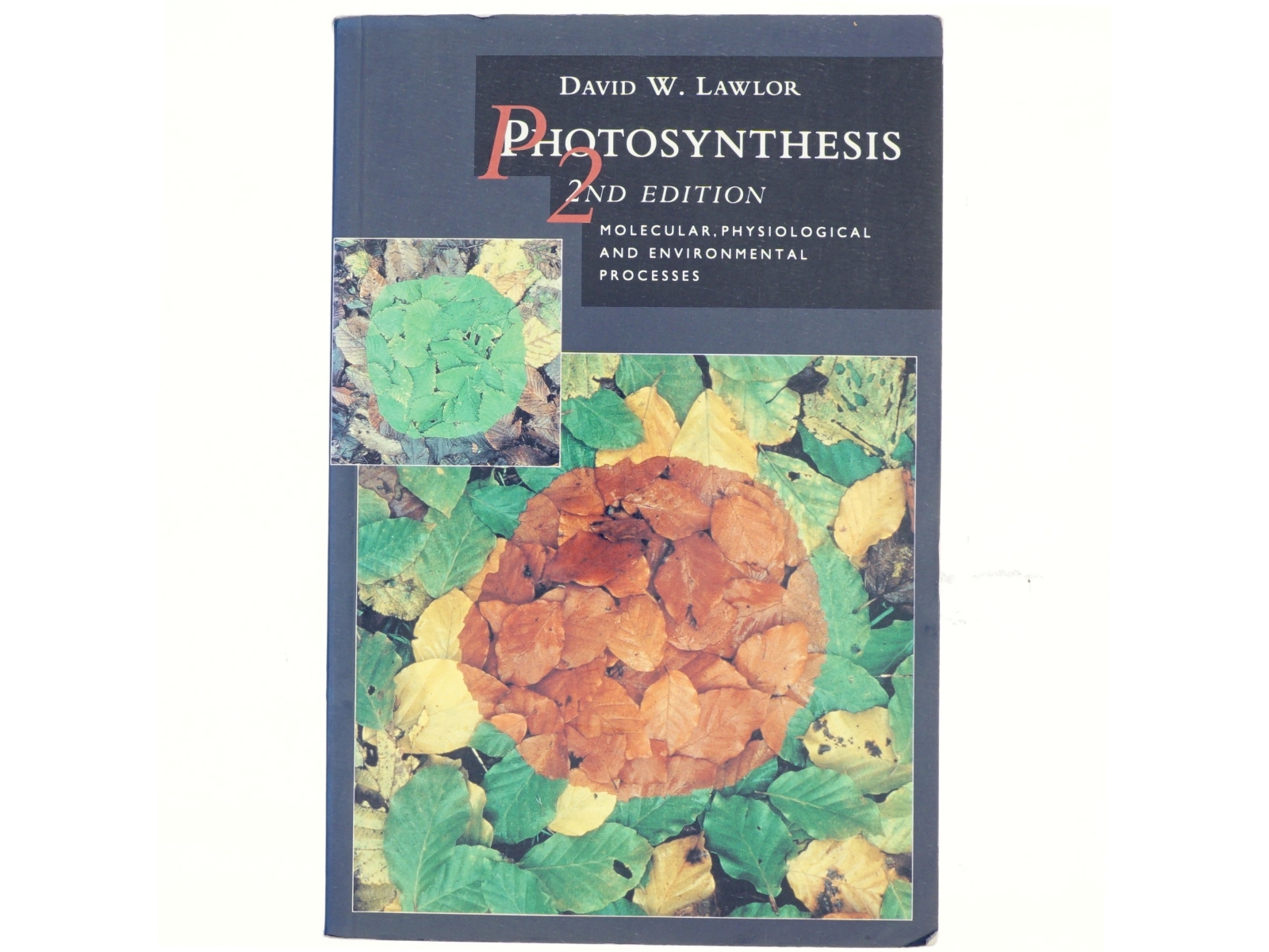Photosynthesis : molecular, physiological and environmental processes af D. W. Lawlor (Bog)