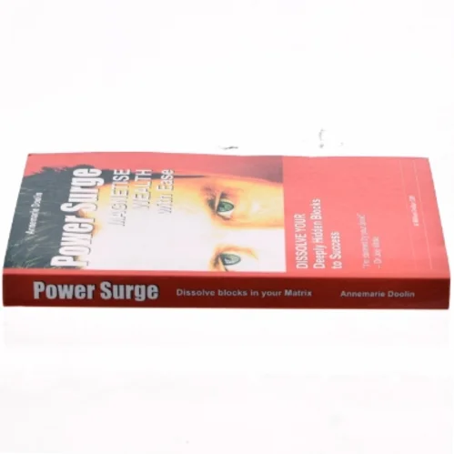 Power surge : how to magnetise wealth with ease af Annemarie Doolin (Bog)