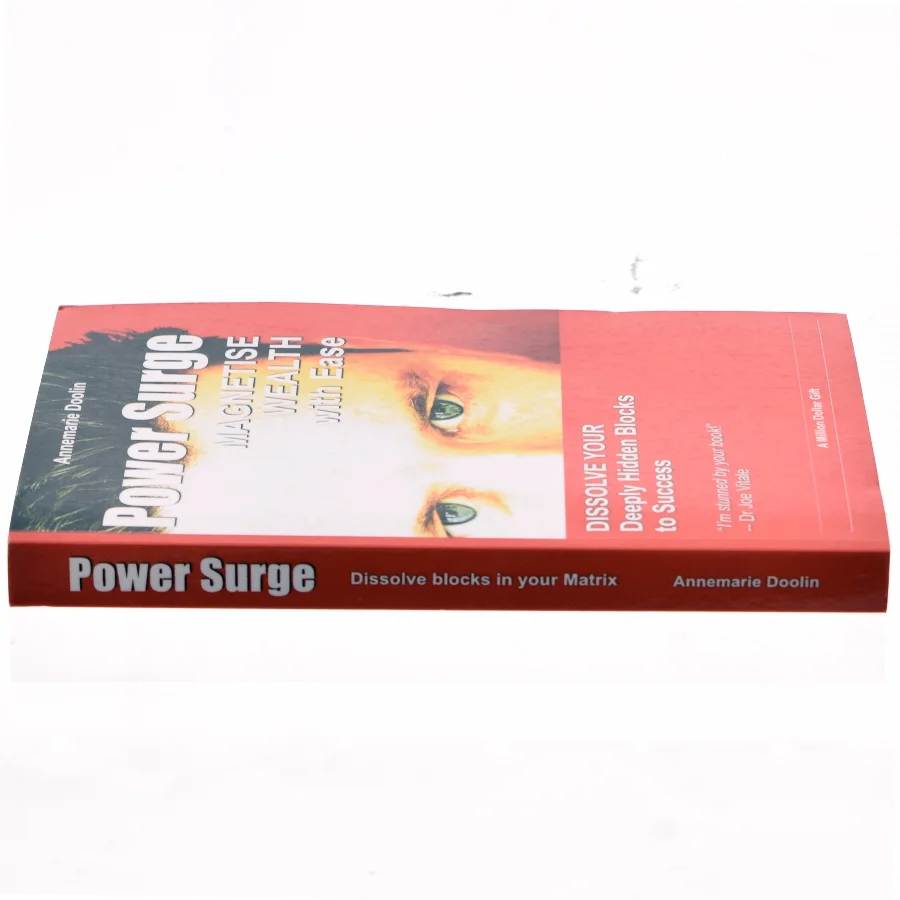 Power surge : how to magnetise wealth with ease af Annemarie Doolin (Bog)