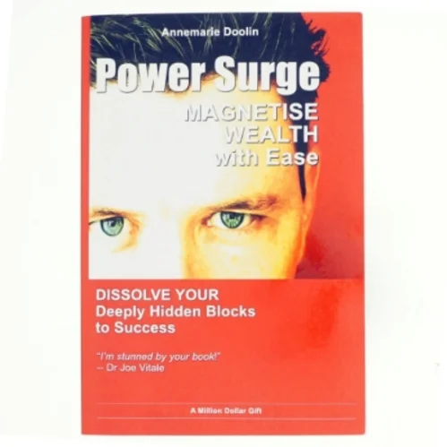 Power surge : how to magnetise wealth with ease af Annemarie Doolin (Bog)