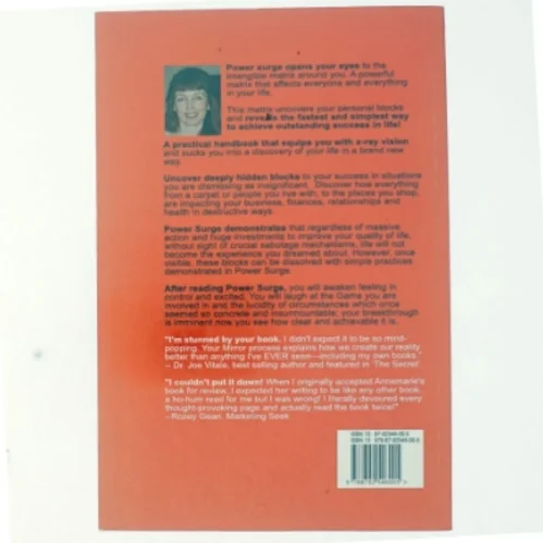 Power surge : how to magnetise wealth with ease af Annemarie Doolin (Bog)