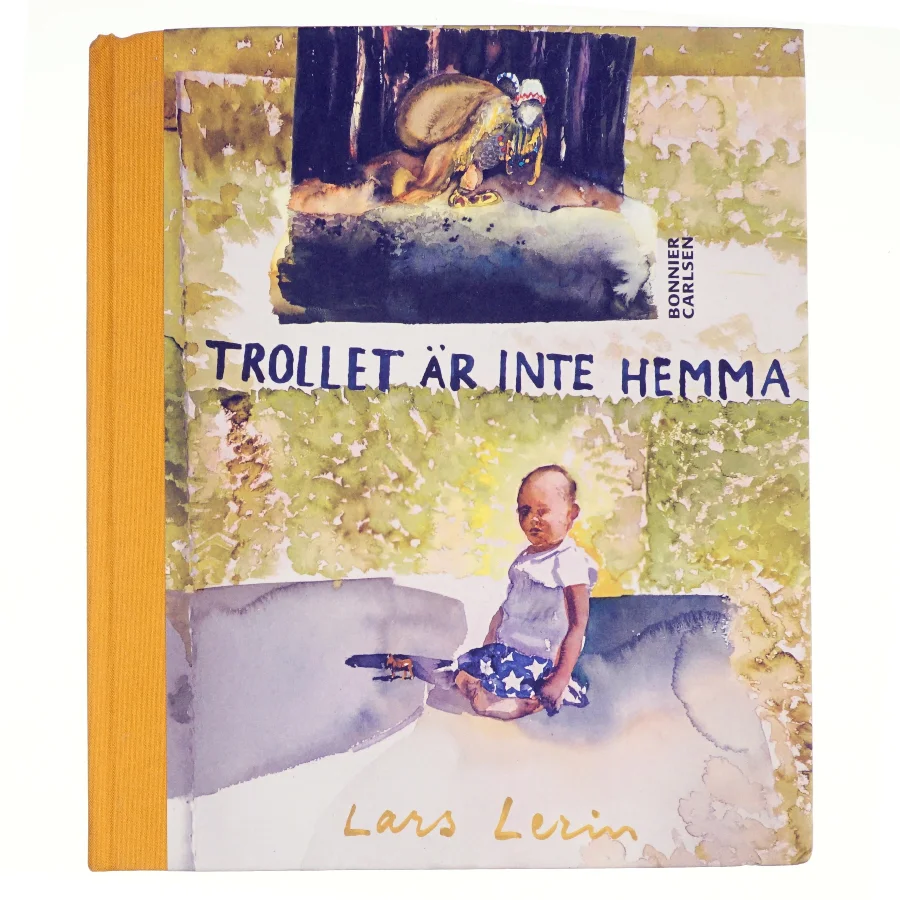 Trollet är inte hemma af Lars Lerin (Bog)