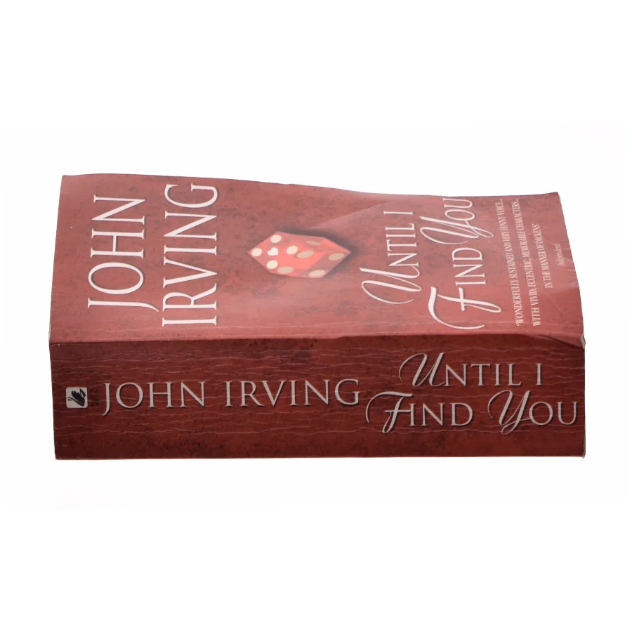 Until I Find You af Irving, John (Bog)