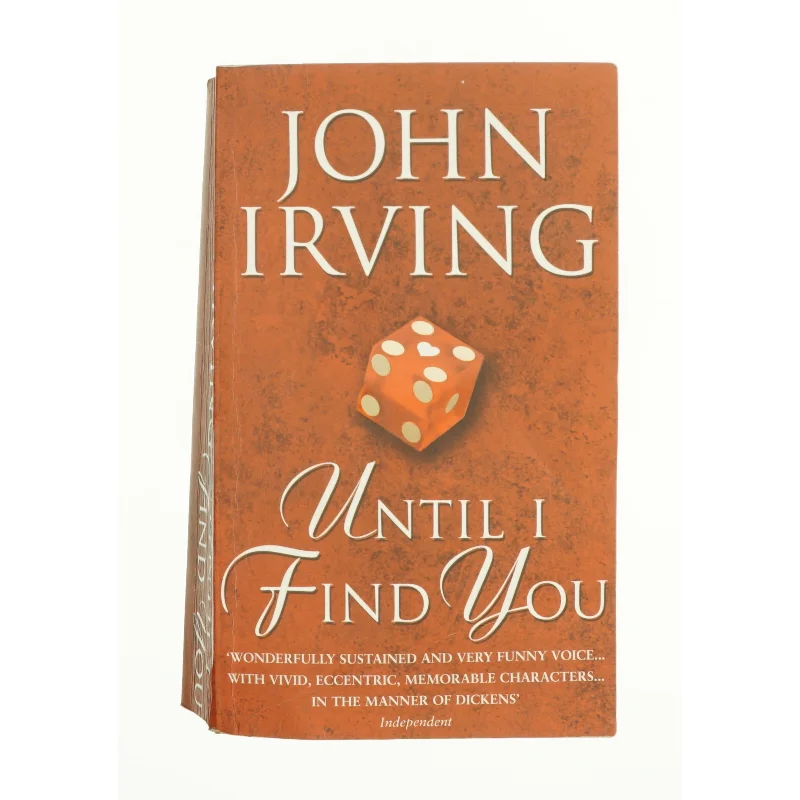Until I Find You af Irving, John (Bog)