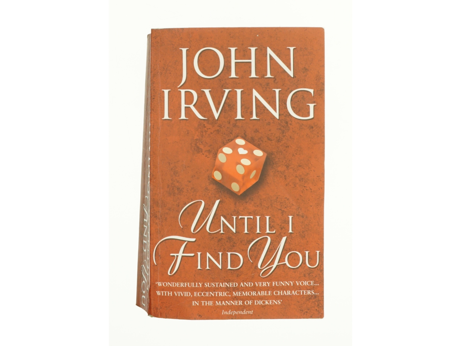 Until I Find You af Irving, John (Bog)