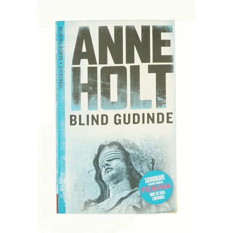 Blind gudinde af Anne Holt (Bog)