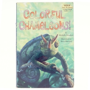 Colorful chameleons!