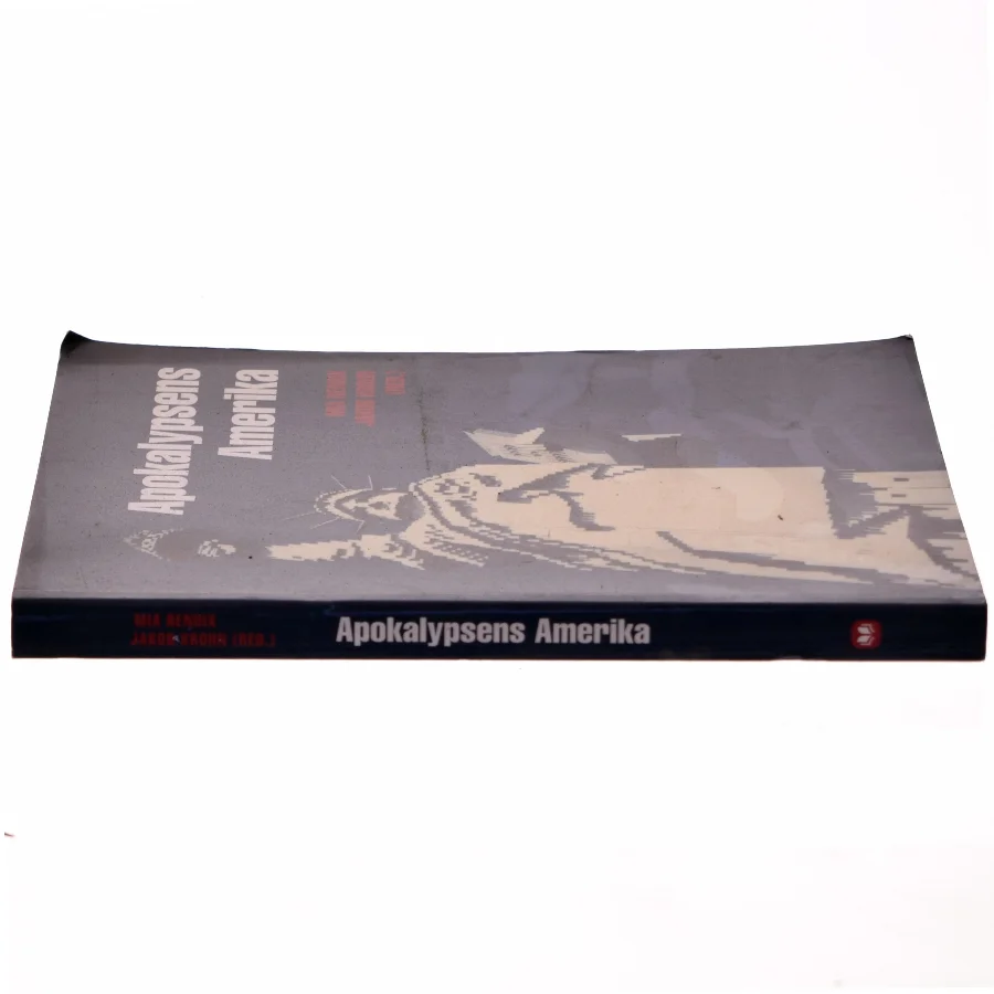 Apokalypsens Amerika (Bog)