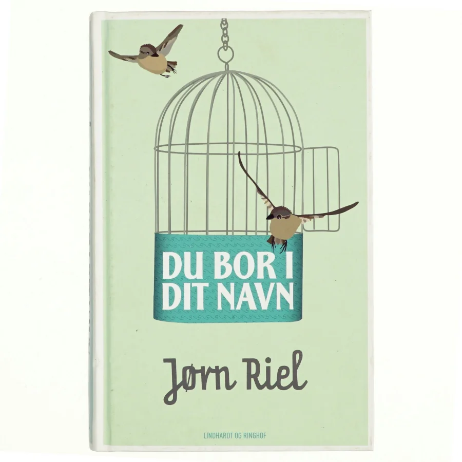 Du bor i dit navn af Jørn Riel (Bog)