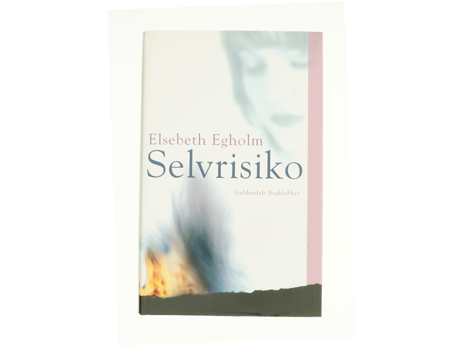 Selvrisiko af Elsebeth Egholm (Bog)
