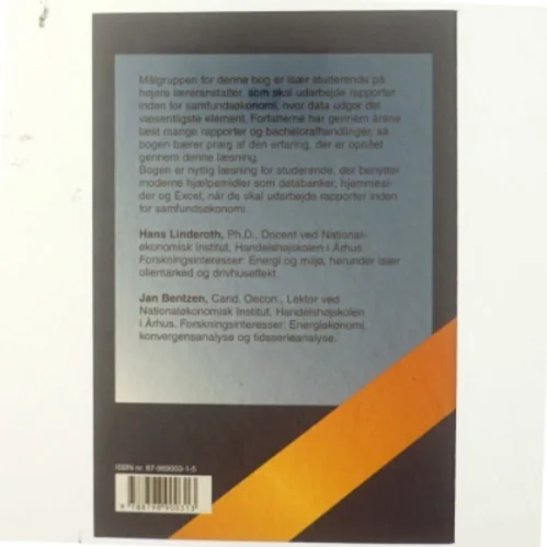 Udarbejdelse af rapporter i beskrivende økonomi (Bog)