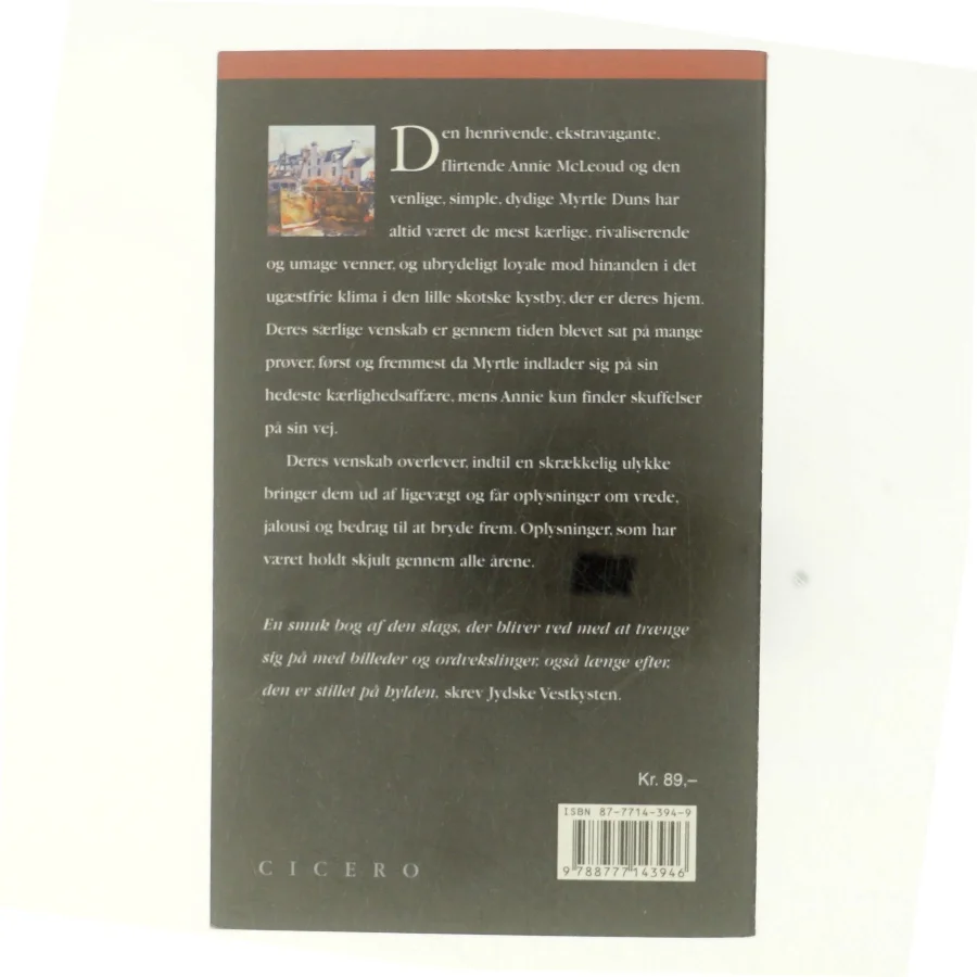 Viet til havet af Angela Huth (Bog)