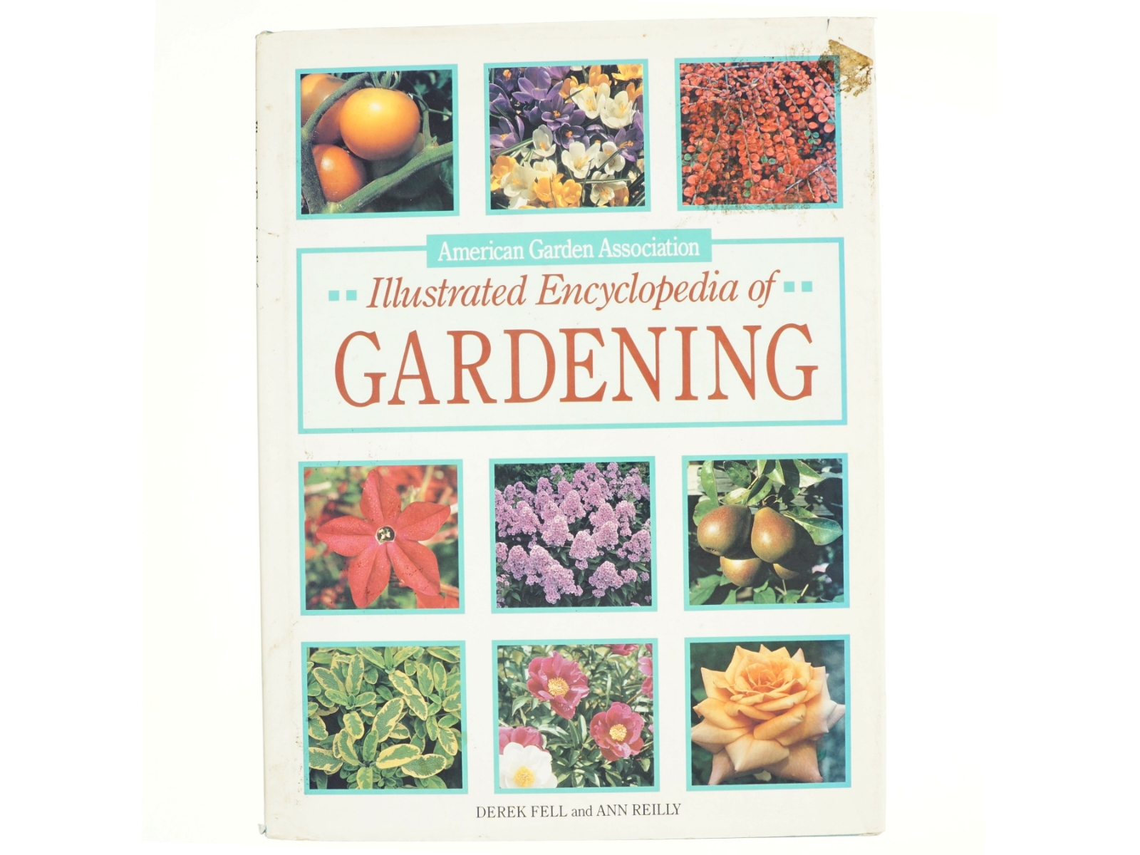 Illustrated Encyclopedia of Gardening af Ann Reilly (Bog)