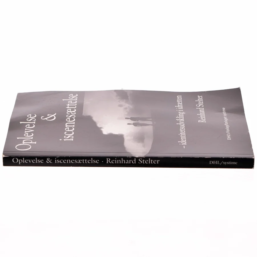 Oplevelse & iscenesættelse : identitetsudvikling i idrætten af Reinhard Stelter (Bog)