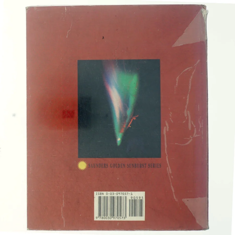 Chemistry - Principles & Reactions af W.L. : Hurley Masterton (Bog)