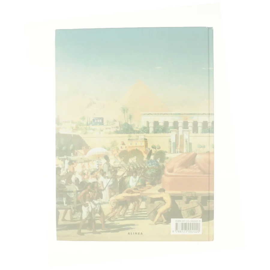 Matematiktak for femte klasse : Bog af Jonna Høegh (Bog)