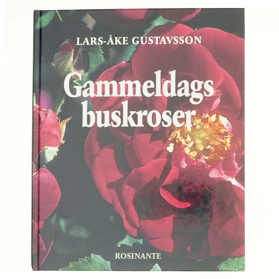Gammeldags buskroser af Lars-Åke Gustavsson (Bog)