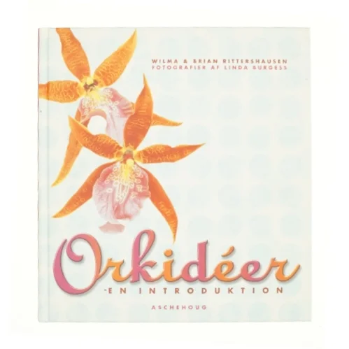 Orkideer : en introduktion (Bog)